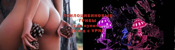 мяу мяу мука Майский