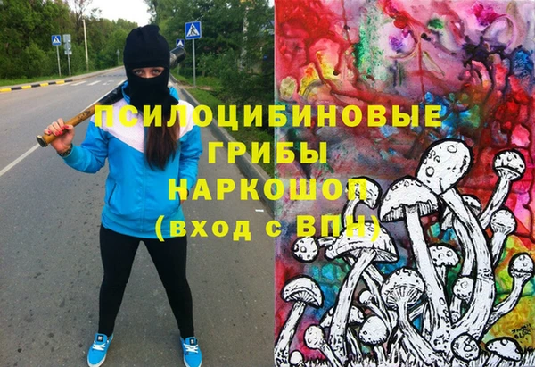 мяу мяу мука Майский