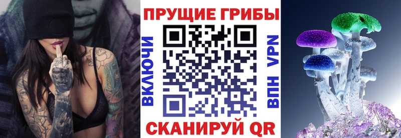Галлюциногенные грибы GOLDEN TEACHER  Купить  Павлово 